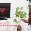 ドコモ光とひかりTV、dtvに契約すれば色々な番組が見放題