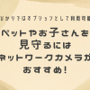 ペットやお子さんを見守るにはネットワークカメラがおすすめ！auひかりではオプションとして利用できます