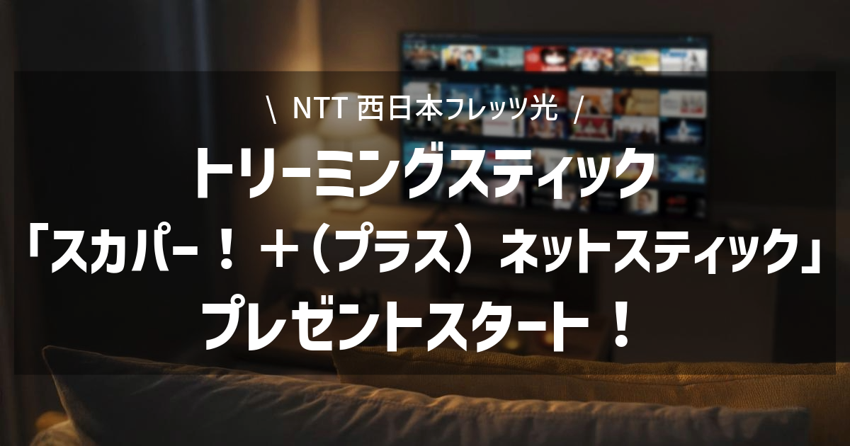 【NTT西日本フレッツ光】トリーミングスティック「スカパー！＋（プラス）ネットスティック」プレゼントスタート！