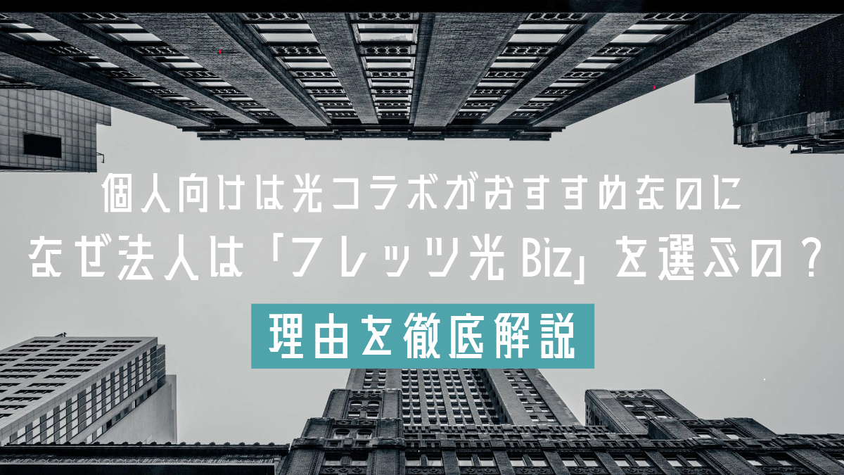 個人向けは光コラボがおすすめなのに、なぜ法人は「フレッツ光 Biz」を選ぶの？理由を徹底解説！