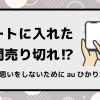 カートに入れた瞬間売り切れ⁉悔しい思いをしないためにauひかりが味方