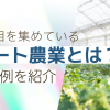 注目のスマート農業とは？導入事例を紹介【おすすめの光回線はフレッツ光】