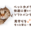 ペットカメラを快適に使いたいならソフトバンク光がおすすめ！見守りをもっと安心・快適に