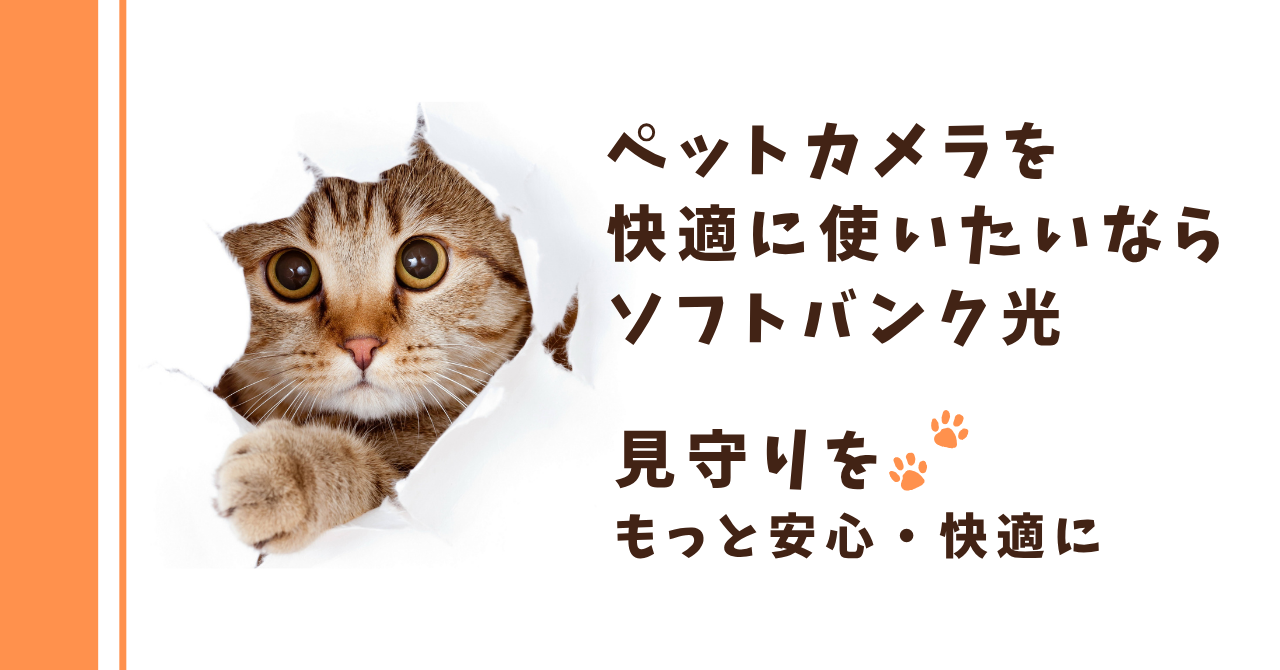ペットカメラを快適に使いたいならソフトバンク光がおすすめ！見守りをもっと安心・快適に